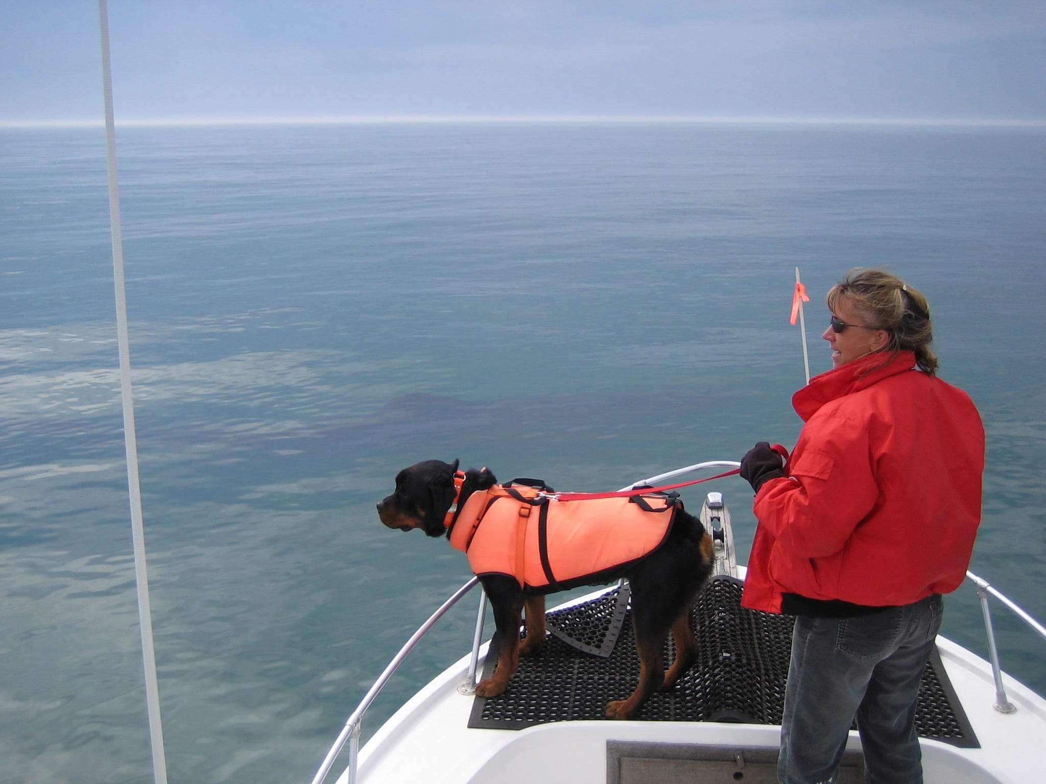 Aquarium whale scientist and veterinarian Rosalind Rolland explores whale fertility and ocean health