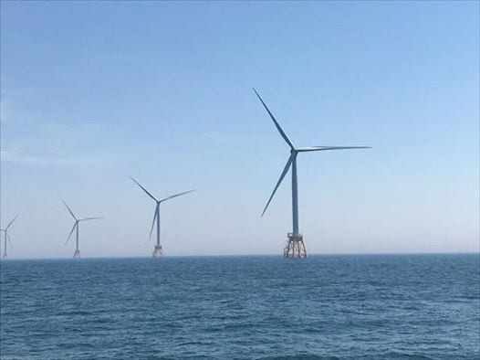 Emerging Professionals for the Environment