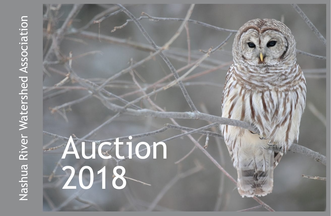 Nashua River Watershed Association Auction 2018