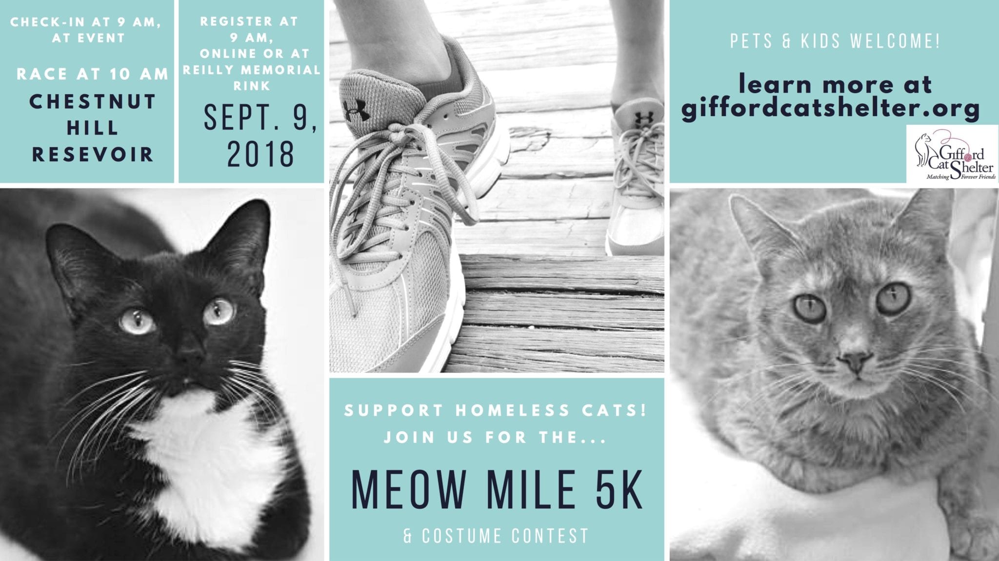 Meow Mile 5K Run/Walk