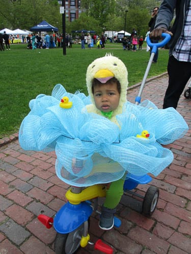 Duckling Day