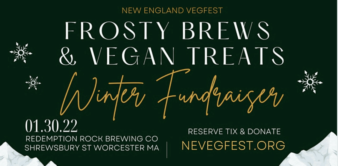 Frosty Brews & Vegan Treats: New England VegFest Winter Fundraiser