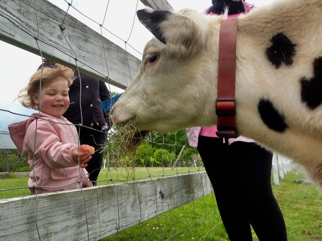 Fall Visitors Weekend at West Place Animal Sanctuary